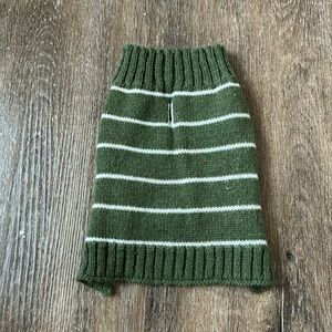 Stripped Green XXS Dog Sweater!